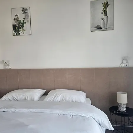 Main Bllok 2 公寓 地拉那